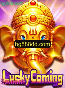 Explorando o Mundo do LuckyComing: Um Guia Completo